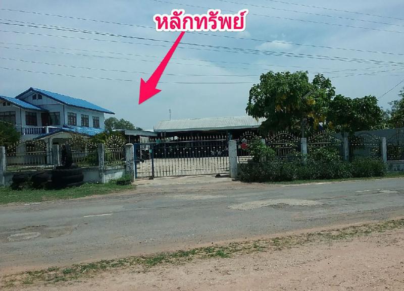ไม่มีเลขที่  กู่ทอง เชียงยืน มหาสารคาม